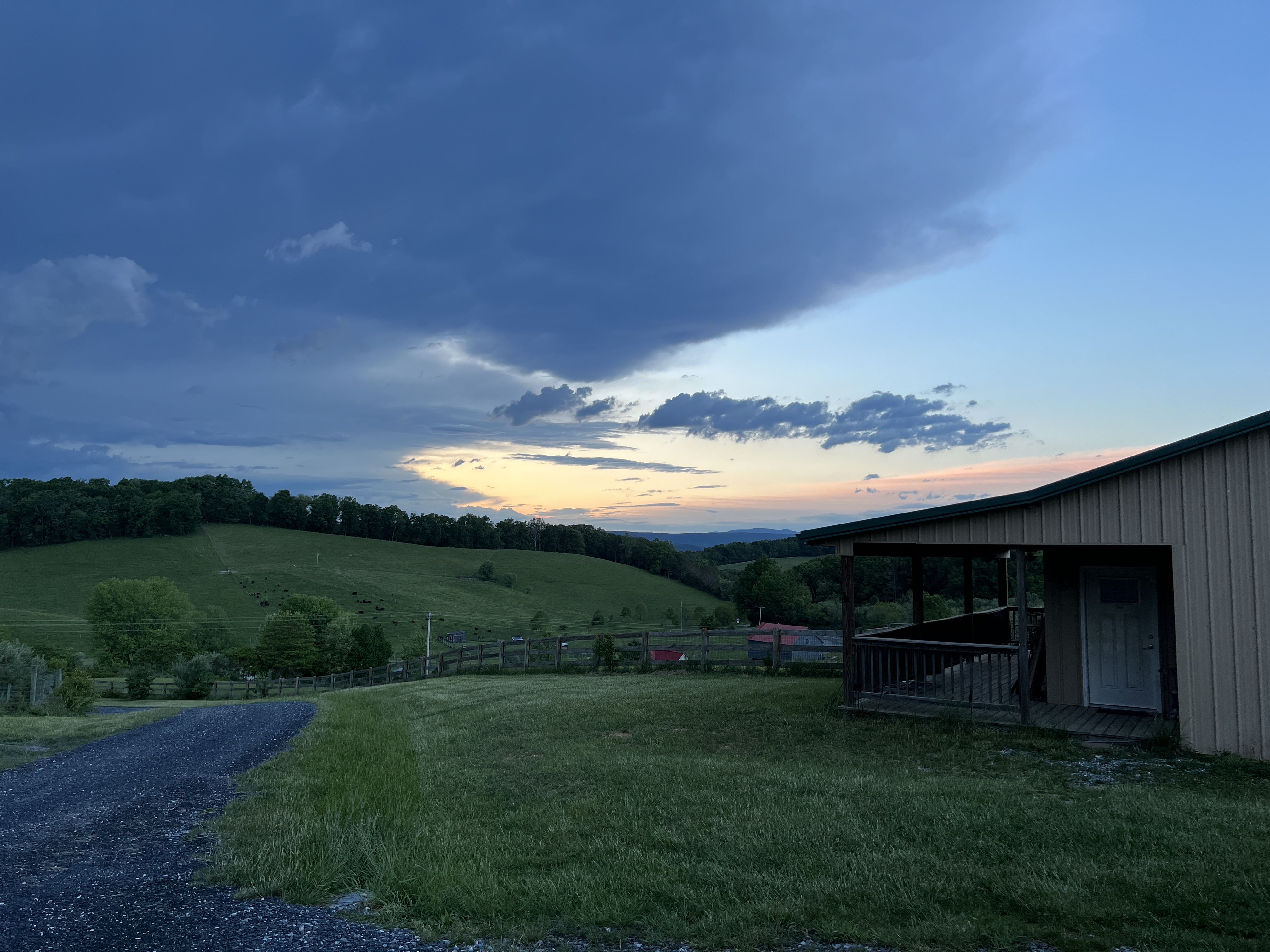 ./2025/04 - Virginia Creeper/IMG_5609.JPG